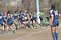 MAS_9598