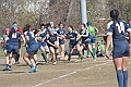 MAS_9599