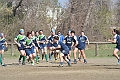 MAS_9616