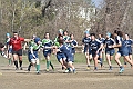 MAS_9619