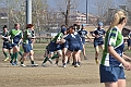MAS_9686