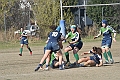 MAS_9715