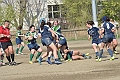 MAS_9726