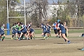MAS_9729
