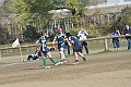 MAS_9810