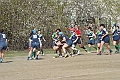 MAS_9831
