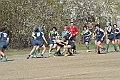 MAS_9832