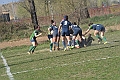 MAS_9882