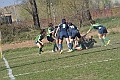 MAS_9883