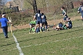 MAS_9884