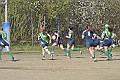 MAS_9895