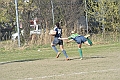 MAS_9993