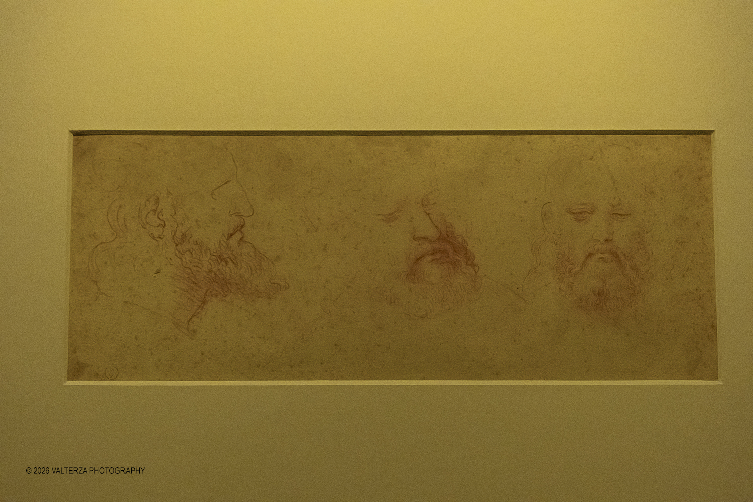 _DSF3817.jpg - Dal 20 marzo al 28 giugno 2026, lo Spazio Leonardo, al primo piano della Galleria Sabauda dei Musei Reali di Torino, accoglie il nuovo capitolo di A tu per tu con Leonardo. Questâ€™anno, lâ€™atteso appuntamento con il genio di Leonardo, , Ã¨ dedicato al disegno autografo Tre vedute di testa virile con barba. Nella foto il disegno autografo Tre vedute di testa virile con barba.in esposizione