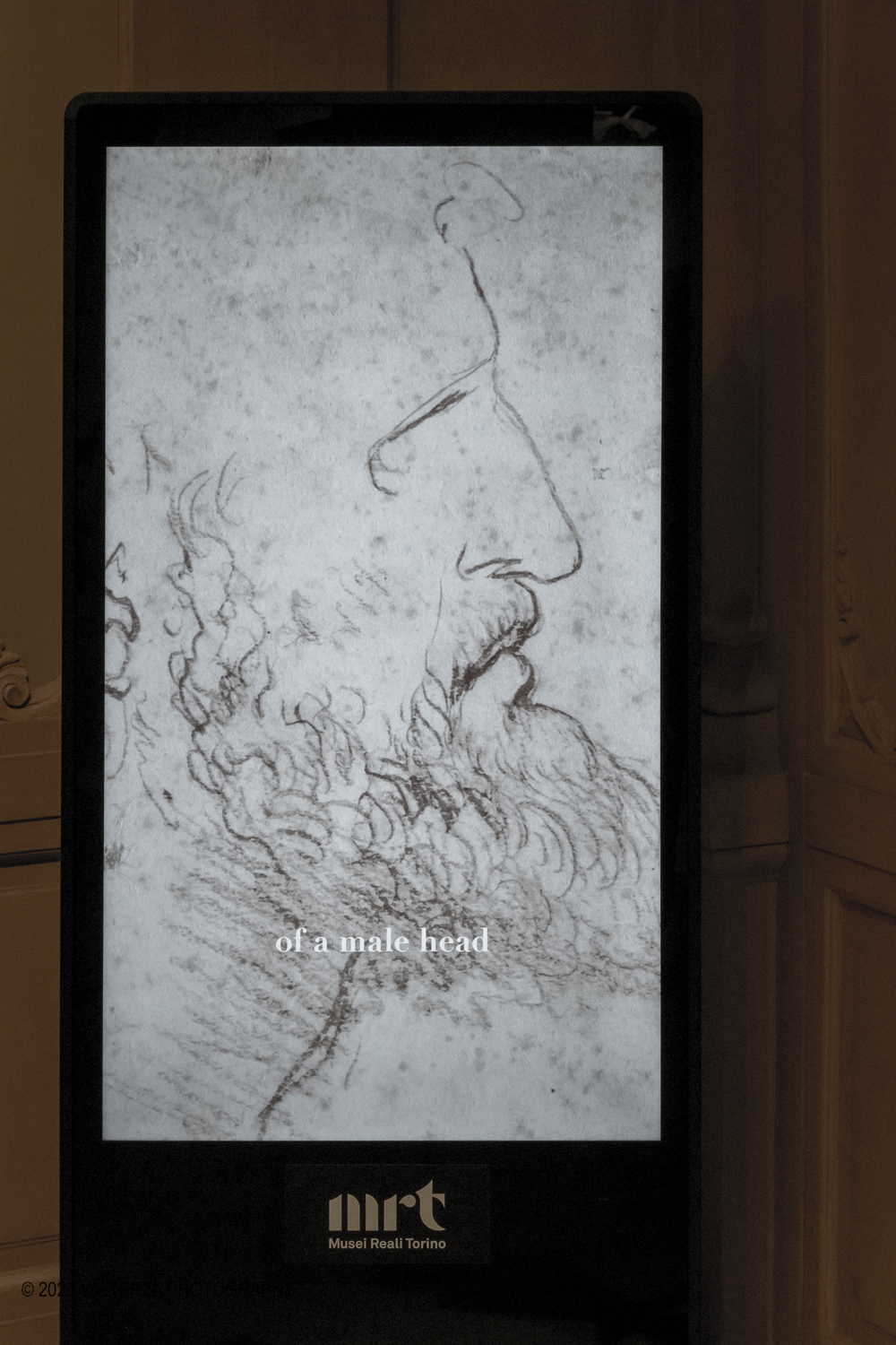 _DSF3922.jpg - Dal 20 marzo al 28 giugno 2026, lo Spazio Leonardo, al primo piano della Galleria Sabauda dei Musei Reali di Torino, accoglie il nuovo capitolo di A tu per tu con Leonardo. Questâ€™anno, lâ€™atteso appuntamento con il genio di Leonardo, , Ã¨ dedicato al disegno autografo Tre vedute di testa virile con barba. Nella foto lo Spazio Leonardo Ã¨ dotato di una installazione video che documenta ed illurta l'opera e la sua storia