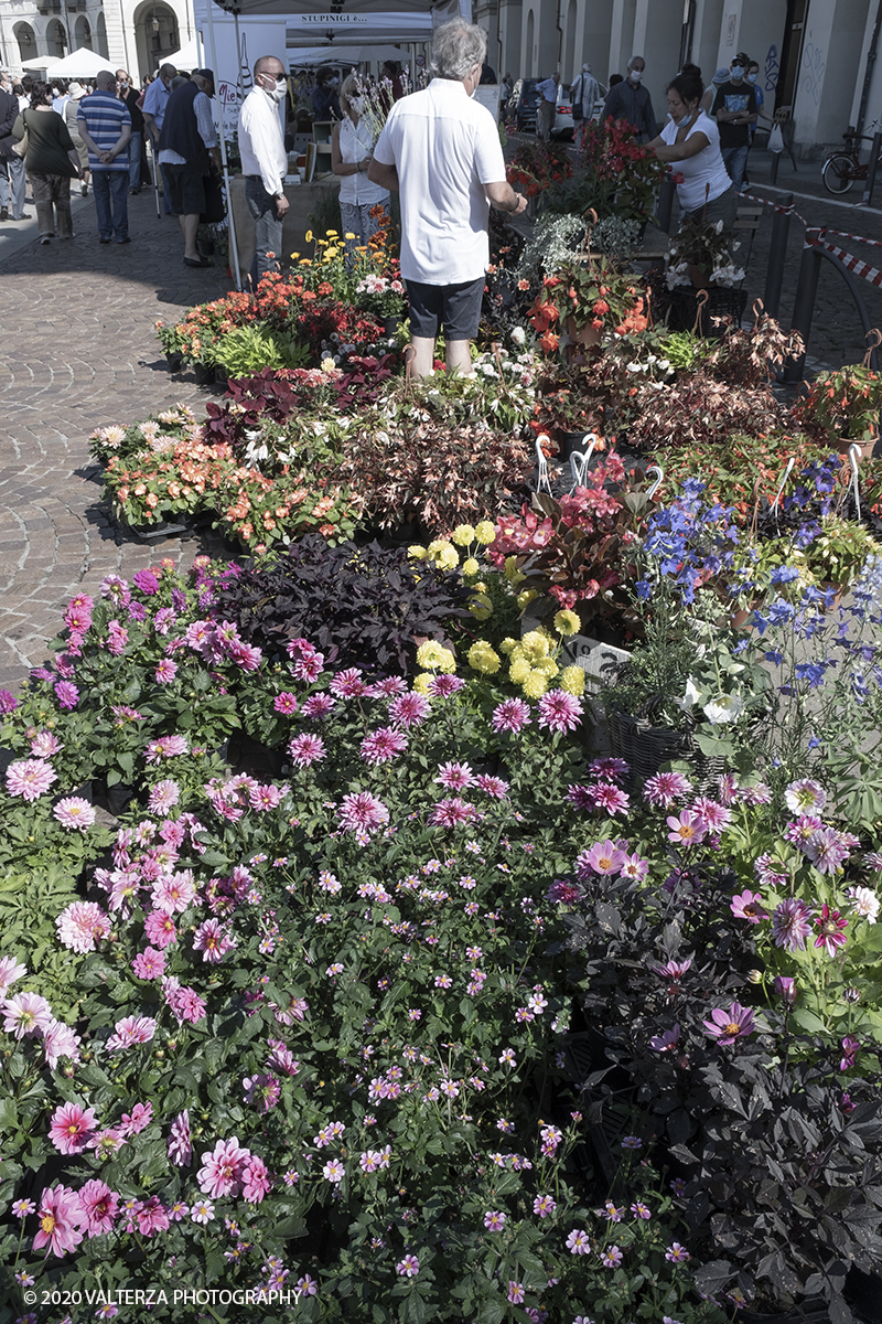 _DSF0002.jpg - 28/06/2020. Torino. Si rinnova l'appuntamento con i vivaisti e con i produttori Agricoli in Piazza Vittorio. AgriFlor Ã¨ realizzato in collaborazione con Rinascente, partner dellâ€™iniziativa. Lo Store in via Lagrange ha ospitato â€œiniziative e talkâ€� allâ€™interno dellâ€™Exhibition Area al piano -1, giÃ  allestita a tema Design&Green con unâ€™incredibile varietÃ  di fiori e piante. Nella foto lo spazio dedicato alla manifestazione in piazza Vittorio Veneto.