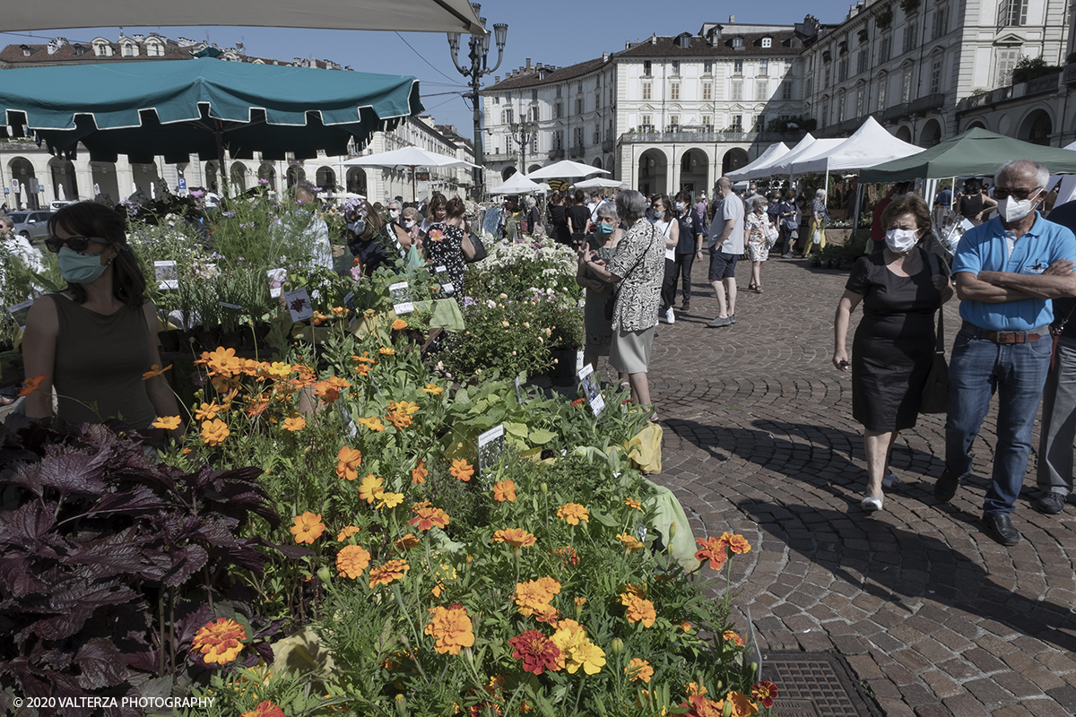 _DSF0011.jpg - 28/06/2020. Torino. Si rinnova l'appuntamento con i vivaisti e con i produttori Agricoli in Piazza Vittorio. AgriFlor Ã¨ realizzato in collaborazione con Rinascente, partner dellâ€™iniziativa. Lo Store in via Lagrange ha ospitato â€œiniziative e talkâ€� allâ€™interno dellâ€™Exhibition Area al piano -1, giÃ  allestita a tema Design&Green con unâ€™incredibile varietÃ  di fiori e piante. Nella foto lo spazio dedicato alla manifestazione in piazza Vittorio Veneto.