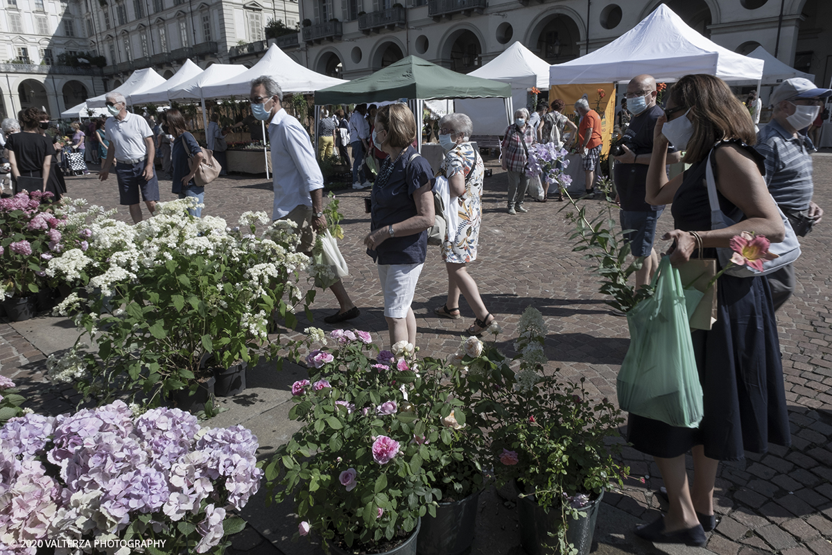 _DSF0016.jpg - 28/06/2020. Torino. Si rinnova l'appuntamento con i vivaisti e con i produttori Agricoli in Piazza Vittorio. AgriFlor Ã¨ realizzato in collaborazione con Rinascente, partner dellâ€™iniziativa. Lo Store in via Lagrange ha ospitato â€œiniziative e talkâ€� allâ€™interno dellâ€™Exhibition Area al piano -1, giÃ  allestita a tema Design&Green con unâ€™incredibile varietÃ  di fiori e piante. Nella foto lo spazio dedicato alla manifestazione in piazza Vittorio Veneto.