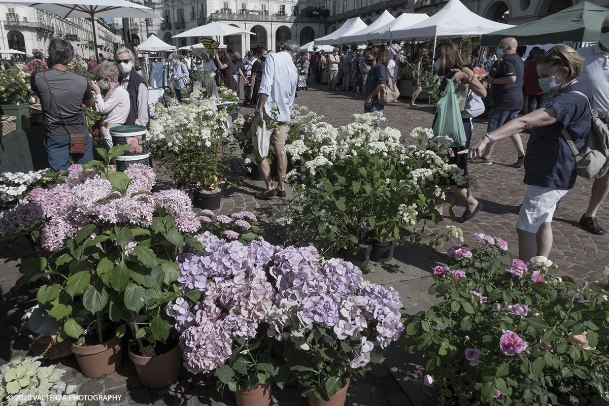 _DSF0020.jpg - 28/06/2020. Torino. Si rinnova l'appuntamento con i vivaisti e con i produttori Agricoli in Piazza Vittorio. AgriFlor Ã¨ realizzato in collaborazione con Rinascente, partner dellâ€™iniziativa. Lo Store in via Lagrange ha ospitato â€œiniziative e talkâ€� allâ€™interno dellâ€™Exhibition Area al piano -1, giÃ  allestita a tema Design&Green con unâ€™incredibile varietÃ  di fiori e piante. Nella foto lo spazio dedicato alla manifestazione in piazza Vittorio Veneto.