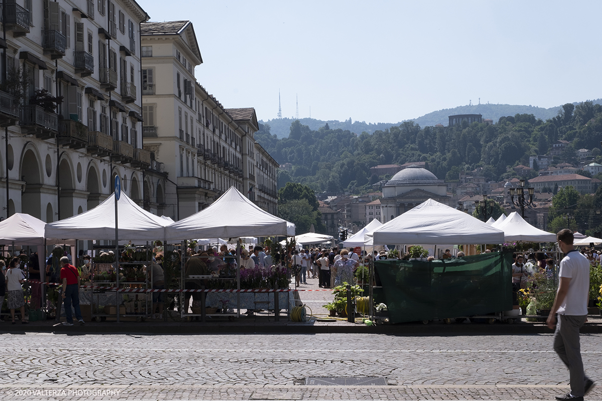 _DSF0054.jpg - 28/06/2020. Torino. Si rinnova l'appuntamento con i vivaisti e con i produttori Agricoli in Piazza Vittorio. AgriFlor Ã¨ realizzato in collaborazione con Rinascente, partner dellâ€™iniziativa. Lo Store in via Lagrange ha ospitato â€œiniziative e talkâ€� allâ€™interno dellâ€™Exhibition Area al piano -1, giÃ  allestita a tema Design&Green con unâ€™incredibile varietÃ  di fiori e piante. Nella foto lo spazio dedicato alla manifestazione in piazza Vittorio Veneto.