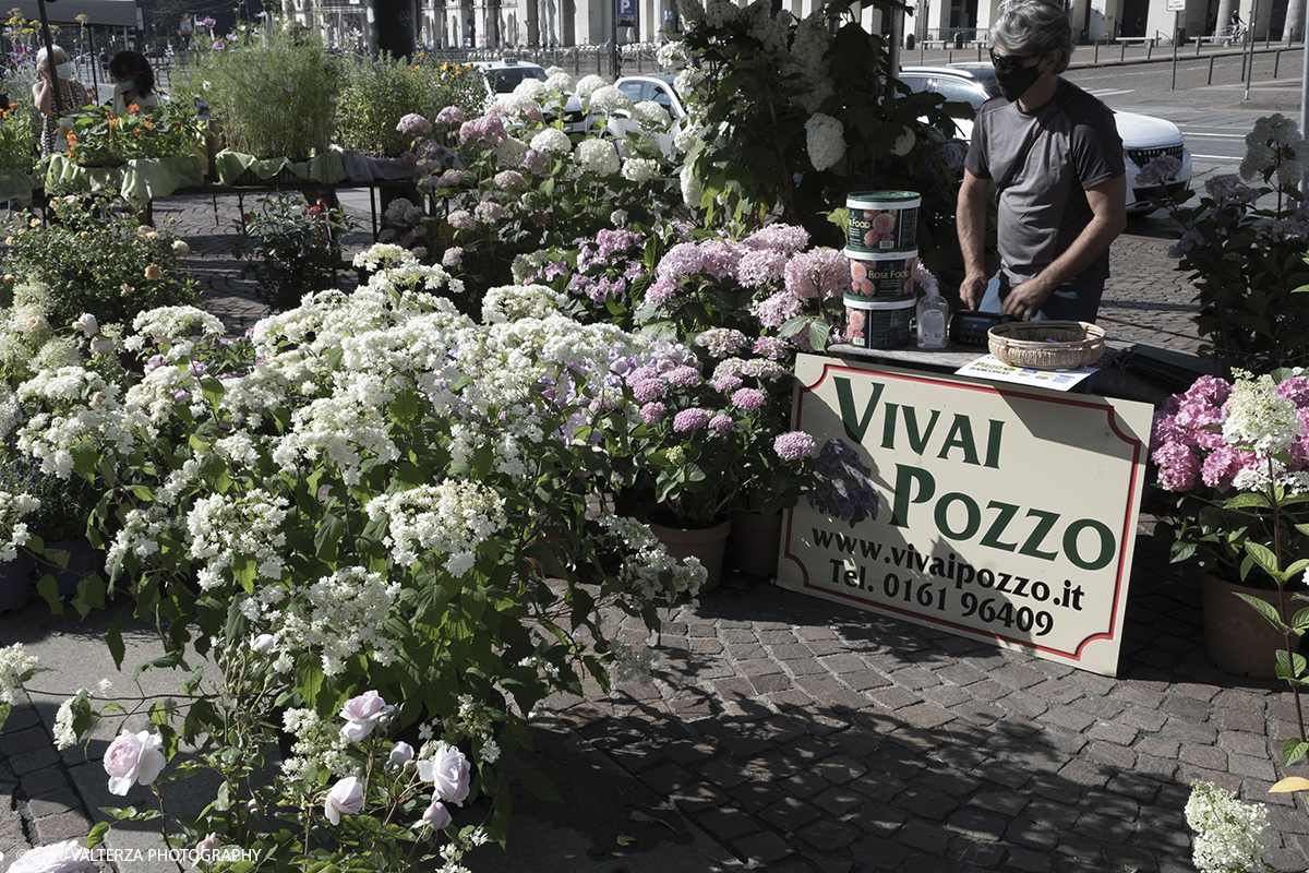 _DSF9827.jpg - 28/06/2020. Torino. Si rinnova l'appuntamento con i vivaisti e con i produttori Agricoli in Piazza Vittorio. AgriFlor Ã¨ realizzato in collaborazione con Rinascente, partner dellâ€™iniziativa. Lo Store in via Lagrange ha ospitato â€œiniziative e talkâ€� allâ€™interno dellâ€™Exhibition Area al piano -1, giÃ  allestita a tema Design&Green con unâ€™incredibile varietÃ  di fiori e piante. Nella foto lo spazio dei Vivai Pozzo in piazza Vittorio.