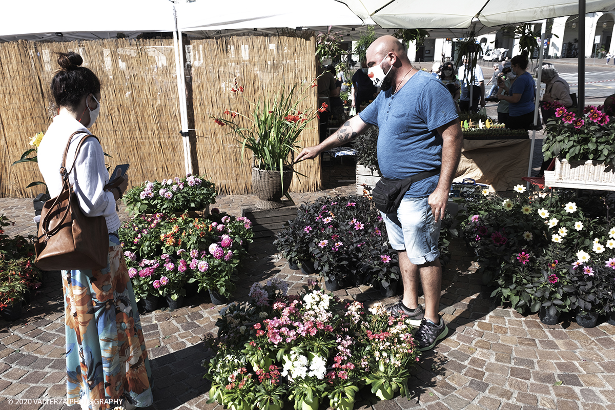 _DSF9906.jpg - 28/06/2020. Torino. Si rinnova l'appuntamento con i vivaisti e con i produttori Agricoli in Piazza Vittorio. AgriFlor Ã¨ realizzato in collaborazione con Rinascente, partner dellâ€™iniziativa. Lo Store in via Lagrange ha ospitato â€œiniziative e talkâ€� allâ€™interno dellâ€™Exhibition Area al piano -1, giÃ  allestita a tema Design&Green con unâ€™incredibile varietÃ  di fiori e piante. Nella foto in Piazza Vittorio spazio dedicato a vivaisti provenienti dalLago Maggiore.