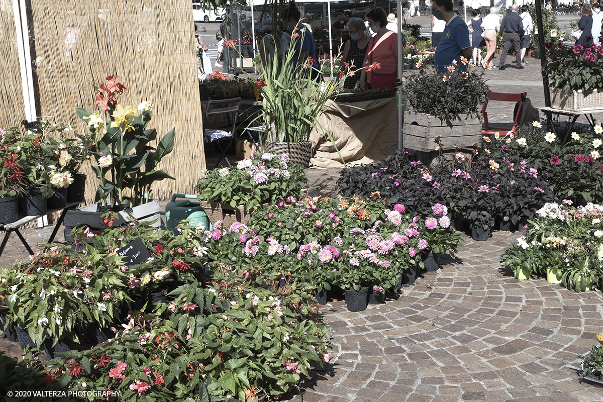 _DSF9921.jpg - 28/06/2020. Torino. Si rinnova l'appuntamento con i vivaisti e con i produttori Agricoli in Piazza Vittorio. AgriFlor Ã¨ realizzato in collaborazione con Rinascente, partner dellâ€™iniziativa. Lo Store in via Lagrange ha ospitato â€œiniziative e talkâ€� allâ€™interno dellâ€™Exhibition Area al piano -1, giÃ  allestita a tema Design&Green con unâ€™incredibile varietÃ  di fiori e piante. Nella foto