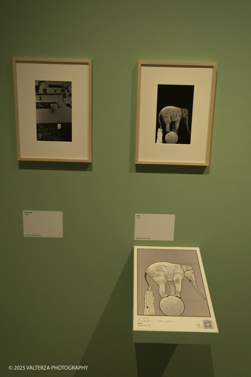 _DSF8408.jpg - 12-06-2025. Turin . Camera . Alfred Eisenstaedt installation. The picture , a part of the exhibition