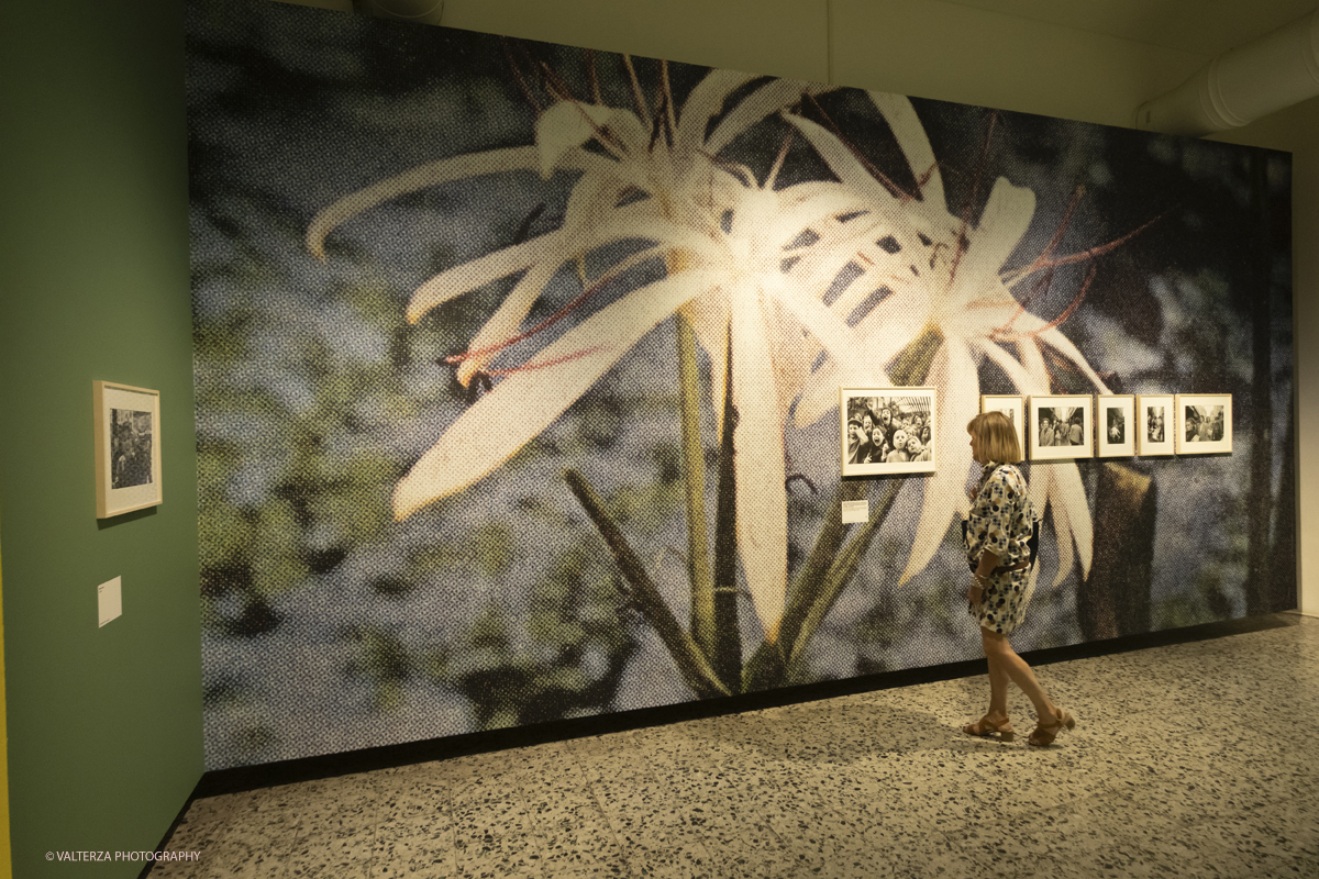 _DSF8540.jpg - 12-06-2025. Turin . Camera . Alfred Eisenstaedt installation. The picture , visiting the exhbition