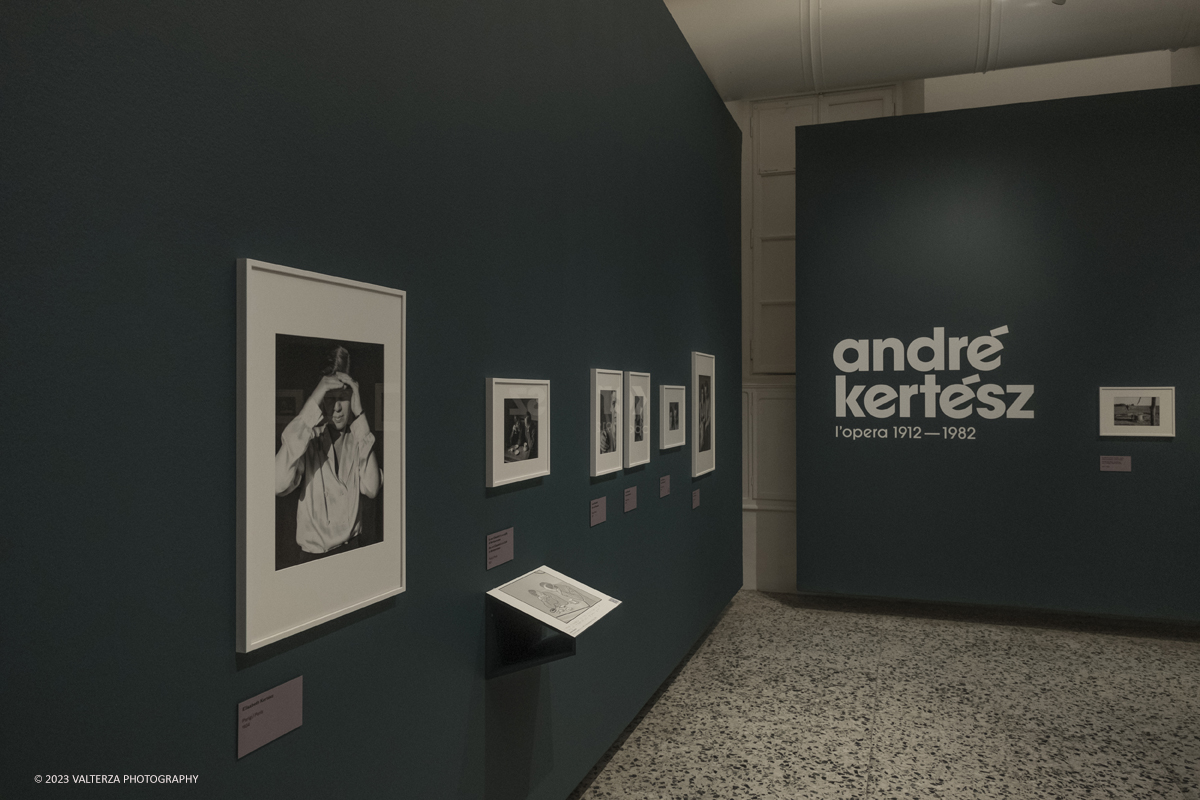 _DSF1604.jpg - 18/10/2023. Torino. La mostra, 19 ottobre 2023 â€“ 4 febbraio 2024 a CAMERA,  Ã¨ composta da oltre centocinquanta immagini che ripercorrono lâ€™intera carriera del fotografo di origini ungheresi e celebra anche il sessantesimo anniversario della presenza del fotografo alla Biennale di Venezia. Nella foto la prima sala della mostra dedicata a lui ed alla moglie Elisabeth
