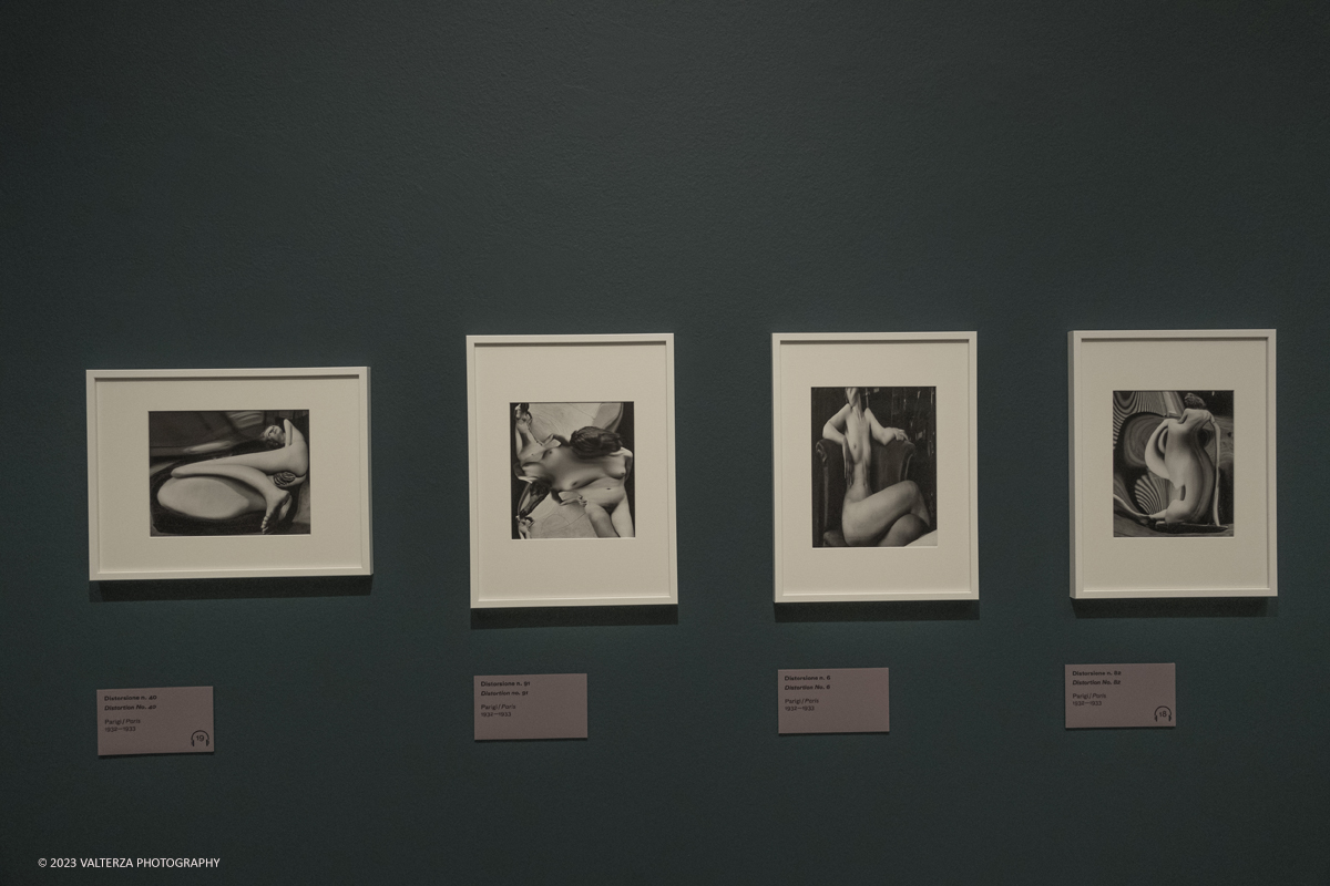 _DSF1714.jpg - 18/10/2023. Torino. La mostra, 19 ottobre 2023 â€“ 4 febbraio 2024 a CAMERA,  Ã¨ composta da oltre centocinquanta immagini che ripercorrono lâ€™intera carriera del fotografo di origini ungheresi e celebra anche il sessantesimo anniversario della presenza del fotografo alla Biennale di Venezia. Nella foto parte dell'allestimento, Distorsioni