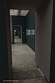 _DSF2002