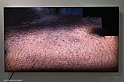 _DSF8089