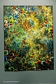 _DSF3585