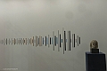 _DSF4195