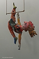 _DSF4224