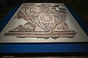 _DSF4498