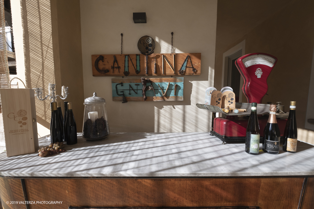 _DSF3185.jpg - 04/11/2019. Romano Canavese. Le cantine Gnavi presentano, nel fascinoso ristorante Liberty Le Jardin Fleuri,il nuovo Vermouth creato con base di Vino Erbaluce di Caluso il nuovo Vermouth "" Don Guglielmo" Nella foto tavolo di lavoro nel cortile della fattoria Gnavi a Caluso