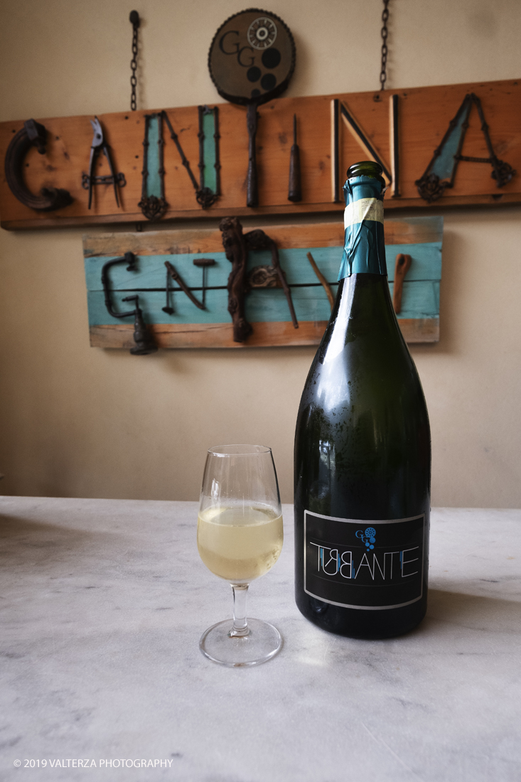 _DSF3374-2.jpg - 04/11/2019. Romano Canavese. Le cantine Gnavi presentano, nel fascinoso ristorante Liberty Le Jardin Fleuri,il nuovo Vermouth creato con base di Vino Erbaluce di Caluso il nuovo Vermouth "" Don Guglielmo" Nella foto in preparazione del "tasting" del nuovo vermouth una sessione di wine tasting in cascina, il vino assaggiato Ã¨ un Erbaluce di Caluso Doc Spumante.