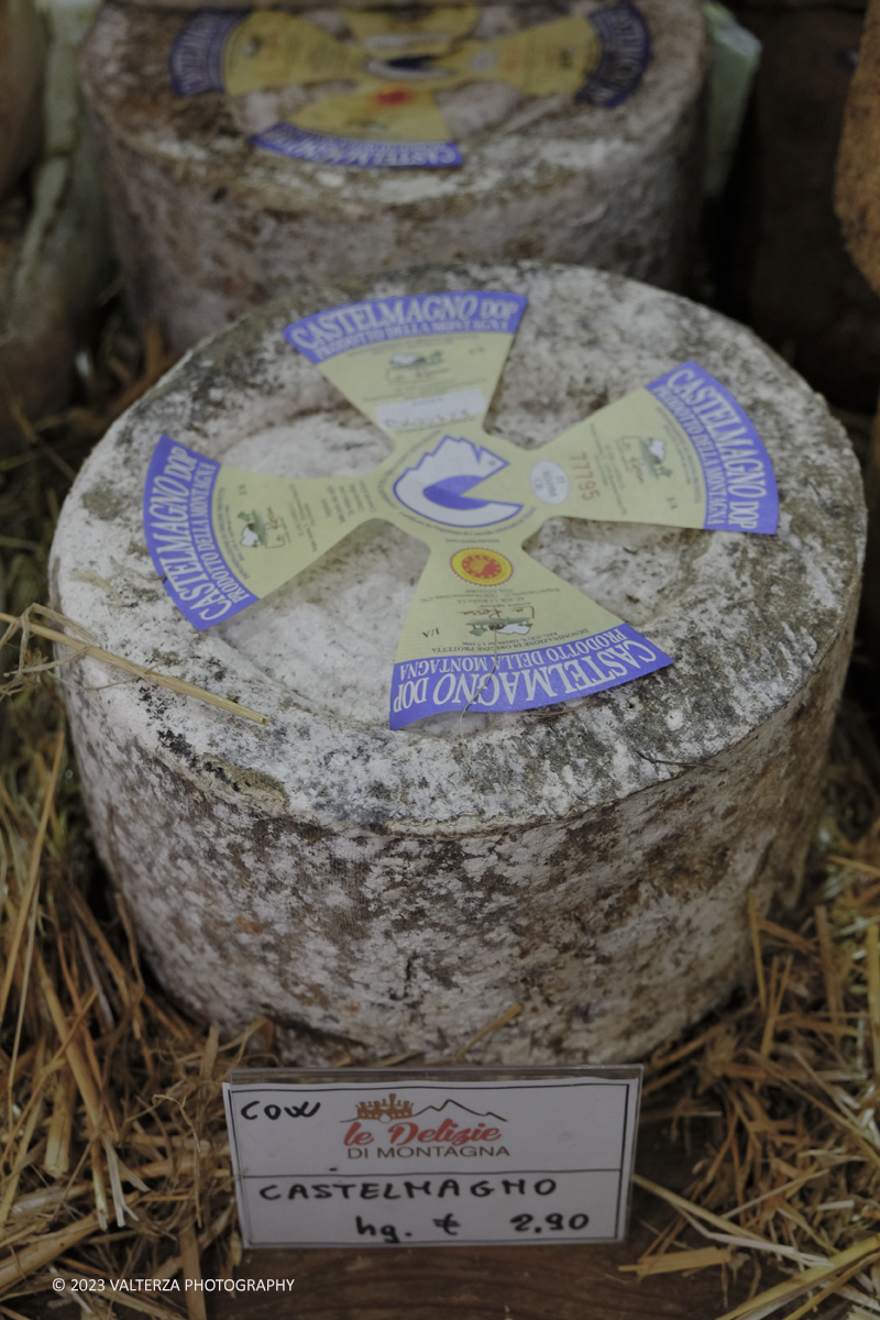 _DSF5459.jpg - 17/09/2023. Bra (CN). I formaggi piemontesi a Cheese 2023. Nella foto Castelmagno produzione â€œLe delizie di Montagnaâ€� Comune di Monterosso Grana (Cuneo)
