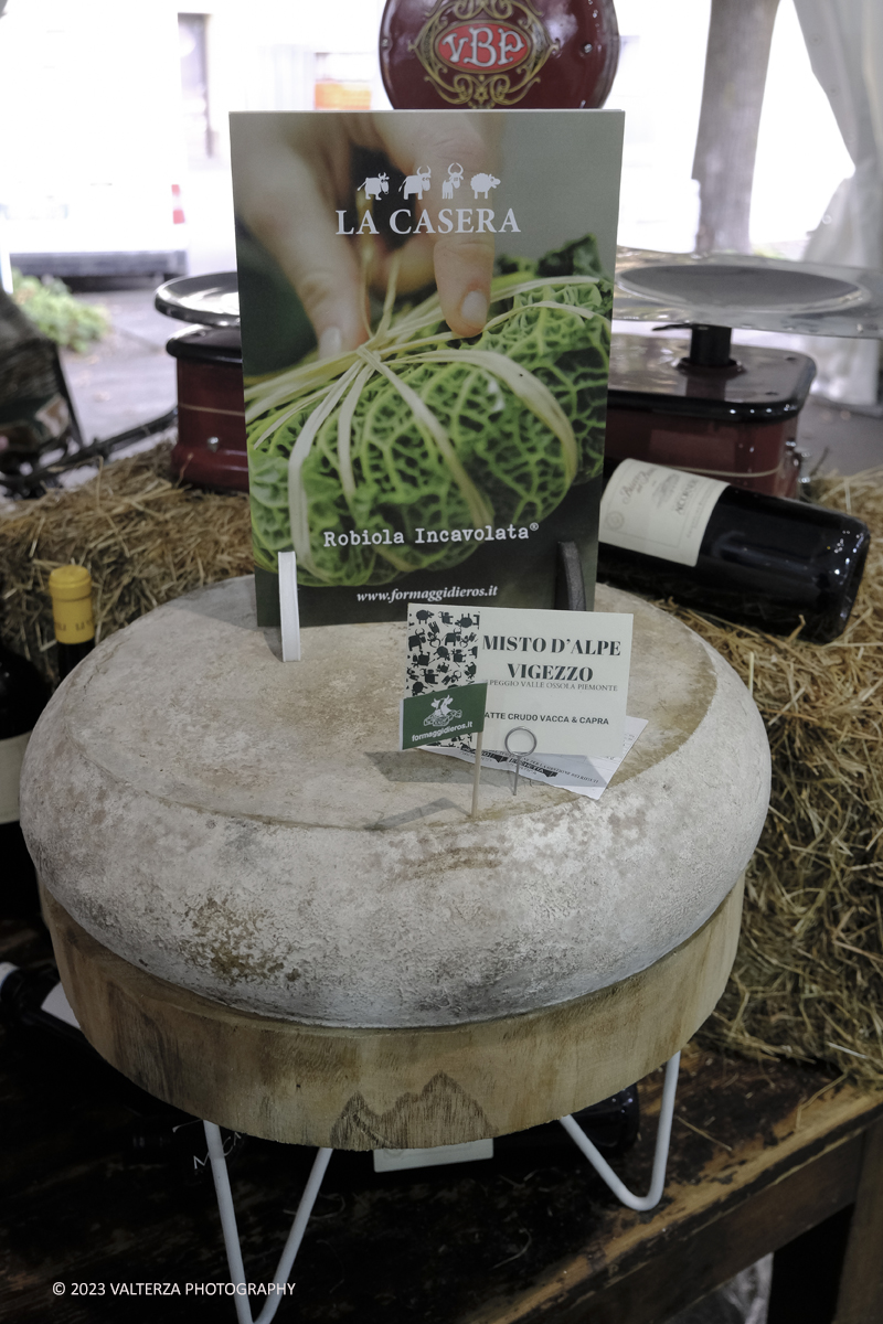 _DSF5476.jpg - 17/09/2023. Bra (CN). I formaggi piemontesi a Cheese 2023. Nella foto formaggi al latte crudo prodotti od affinati dall'azienda La Casera. Il Valtellina Casera Ã¨ un formaggio a Denominazione di Origine Protetta che ha ottenuto il riconoscimento in sede europea