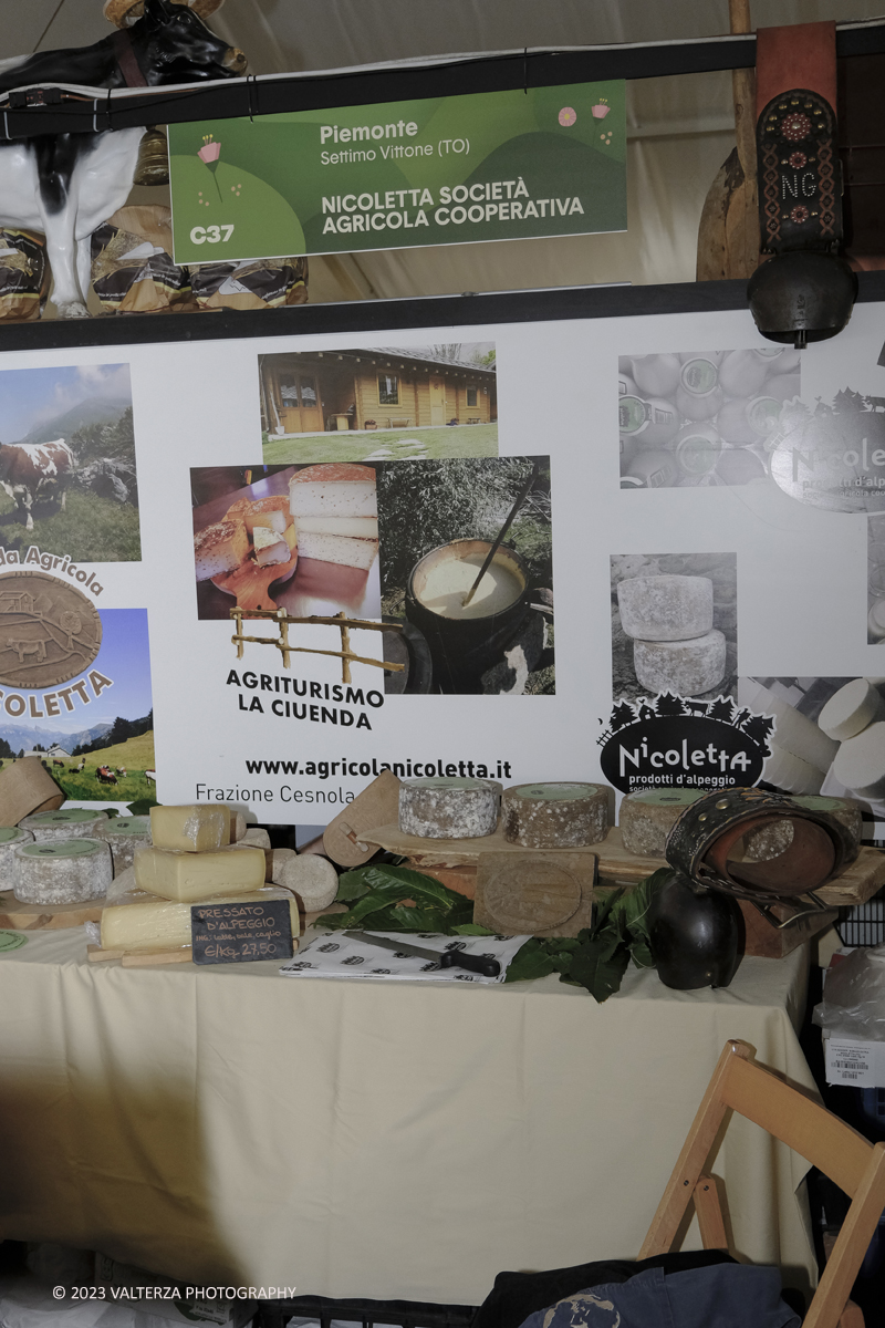 _DSF5498.jpg - 17/09/2023. Bra (CN). I formaggi piemontesi a Cheese 2023. Nella foto formaggi vari al latte crudo prodotti dalla Nicoletta societÃ  agricola di Settimo Vittone