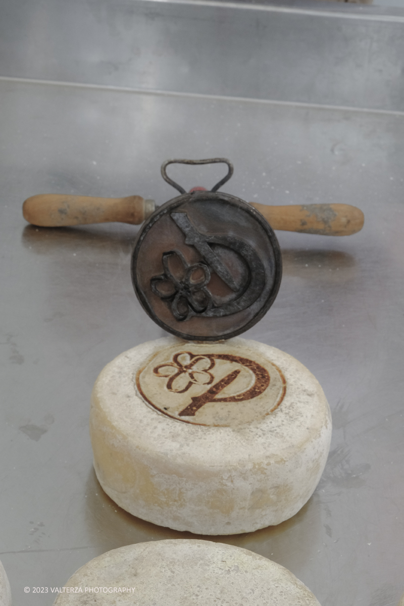 _DSF5725.jpg - 17/09/2023. Bra (CN). I formaggi piemontesi a Cheese 2023. Nella foto dimostrazione di marchiatura di una Toma di Plaisentif alias il formaggio delle viole prodotto in Val Chisone e Val di Susa