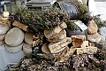 _DSF5594