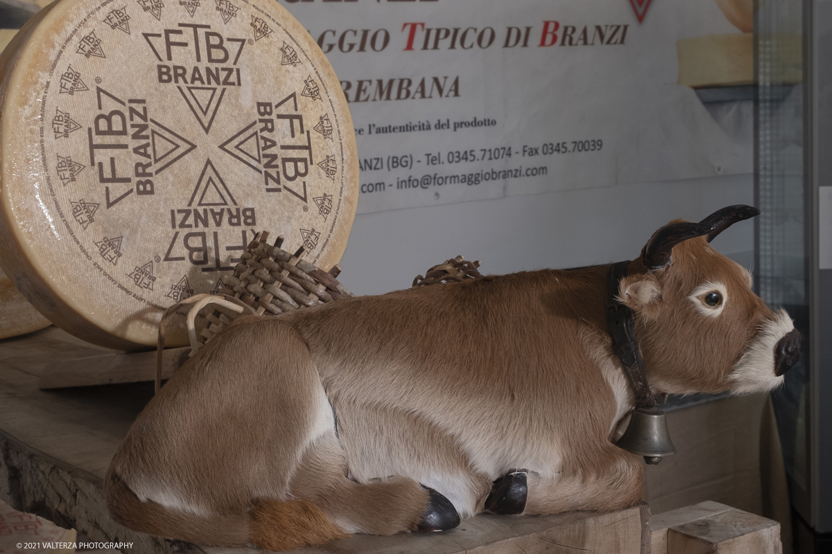 _DSF7548.jpg - 17/09/2021. Bra. Cheese Ã¨  la piÃ¹ importante fiera italiana dedicata al formaggio ai latticini ed al latte crudo. Nella foto stand di una delle due aree denominate Mercato del Formaggio