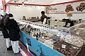 DSCF1629