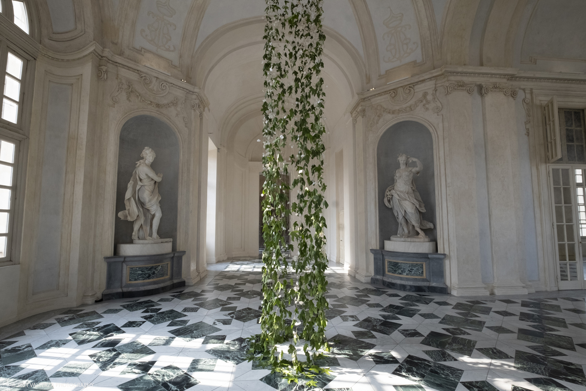 _DSF6137.jpg - 10/09/2021.Torino. Corollaria Flower ExhibitionAlla Reggia di Venaria la prima rassegna italiana dedicata allâ€™arte floreale ed al giardinoDal 10 al 19 settembre 2021. Nella foto al RondÃ² Alfierano, una delle prime installazioni, composta da innumerevoli frutti di lunaria e foglie di liquidambar.