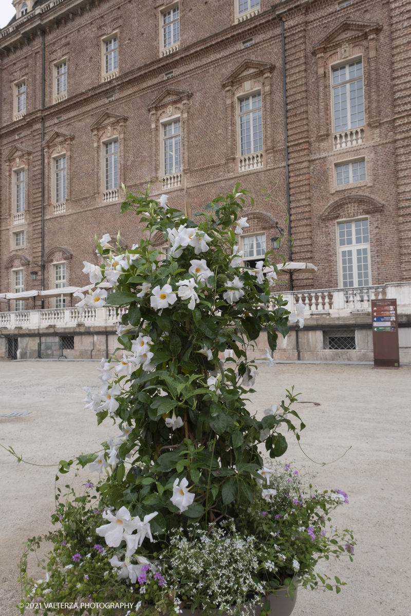 _DSF6265.jpg - 10/09/2021.Torino. COROLLARIA FLOWER EXHIBITIONAlla Reggia di Venaria la prima rassegna italiana dedicata allâ€™arte floreale e al giardinoDal 10 al 19 settembre 2021. Nella foto uno dei vasi facenti parte delle installazioni esposte nel Gran Parterre esterno.