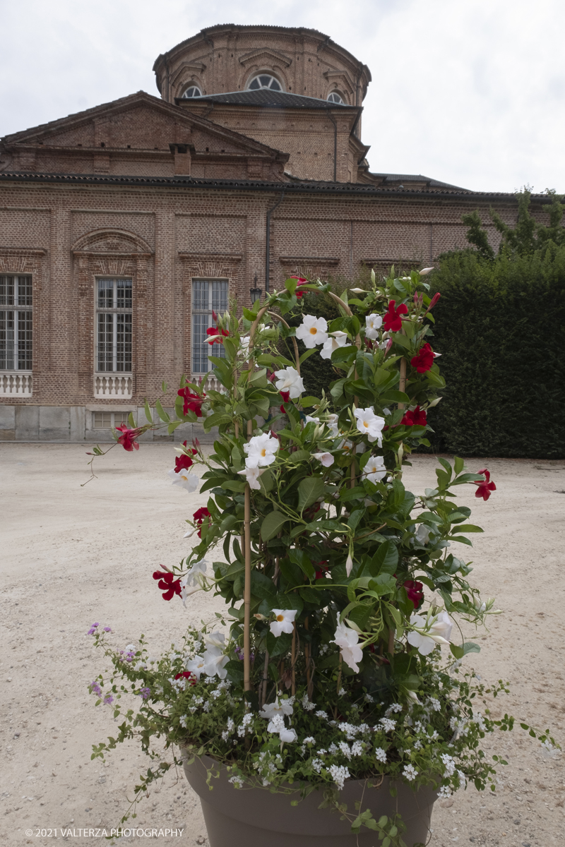 _DSF6273.jpg - 10/09/2021.Torino. COROLLARIA FLOWER EXHIBITIONAlla Reggia di Venaria la prima rassegna italiana dedicata allâ€™arte floreale e al giardinoDal 10 al 19 settembre 2021. Nella foto uno dei vasi facenti parte delle installazioni esposte nel Gran Parterre esterno.