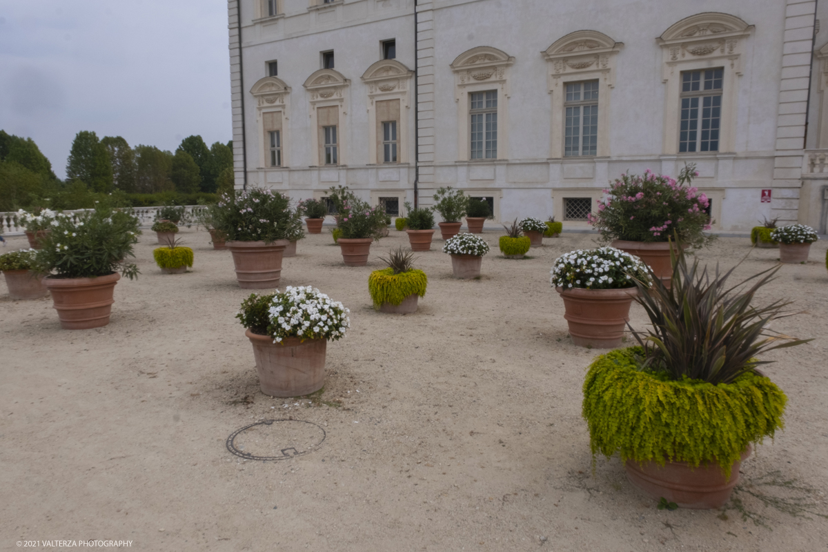 _DSF6301.jpg - 10/09/2021.Torino. COROLLARIA FLOWER EXHIBITIONAlla Reggia di Venaria la prima rassegna italiana dedicata allâ€™arte floreale e al giardinoDal 10 al 19 settembre 2021. Nella foto alcune delle installazioni del Gran Parterre esterno dove oltre 30 tra i migliori produttori di piante in vaso e per giardini provenienti da tutta Italia espongono le proprie creazioni