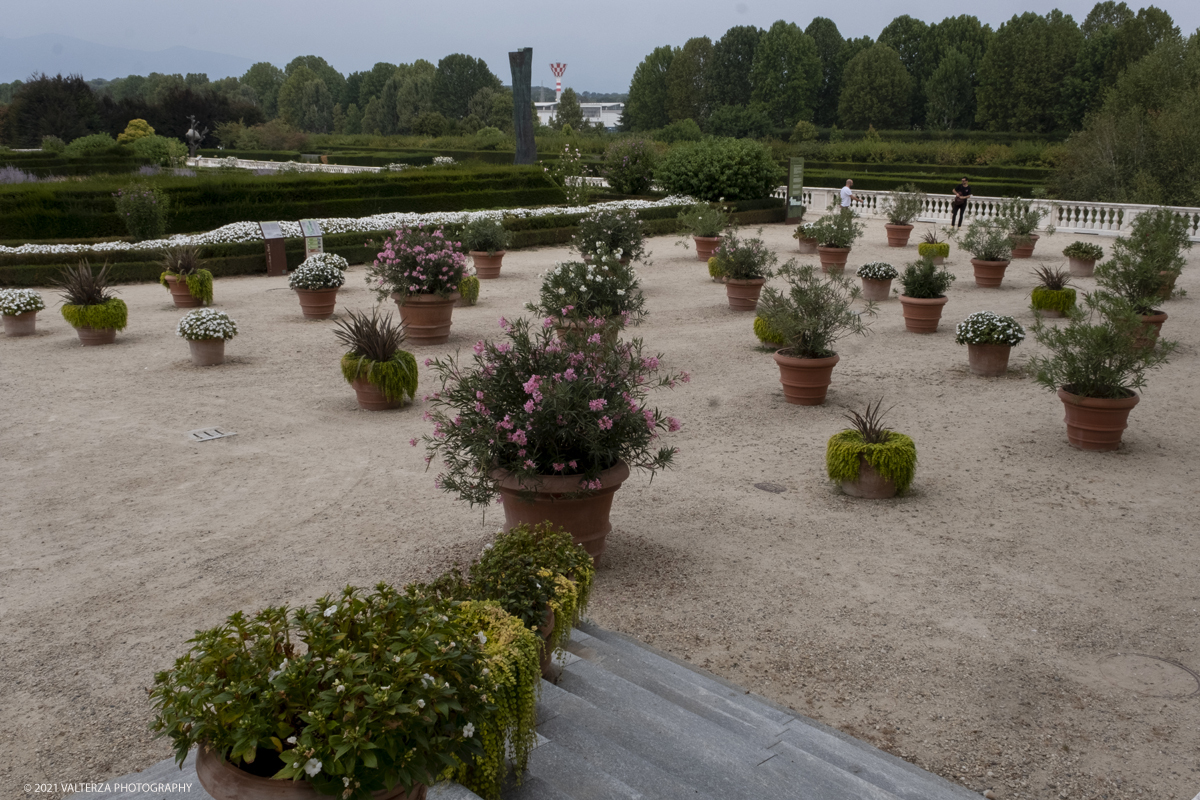 _DSF6338.jpg - 10/09/2021.Torino. COROLLARIA FLOWER EXHIBITIONAlla Reggia di Venaria la prima rassegna italiana dedicata allâ€™arte floreale e al giardinoDal 10 al 19 settembre 2021. Nella foto alcune delle installazioni del Gran Parterre esterno dove oltre 30 tra i migliori produttori di piante in vaso e per giardini provenienti da tutta Italia espongono le proprie creazioni